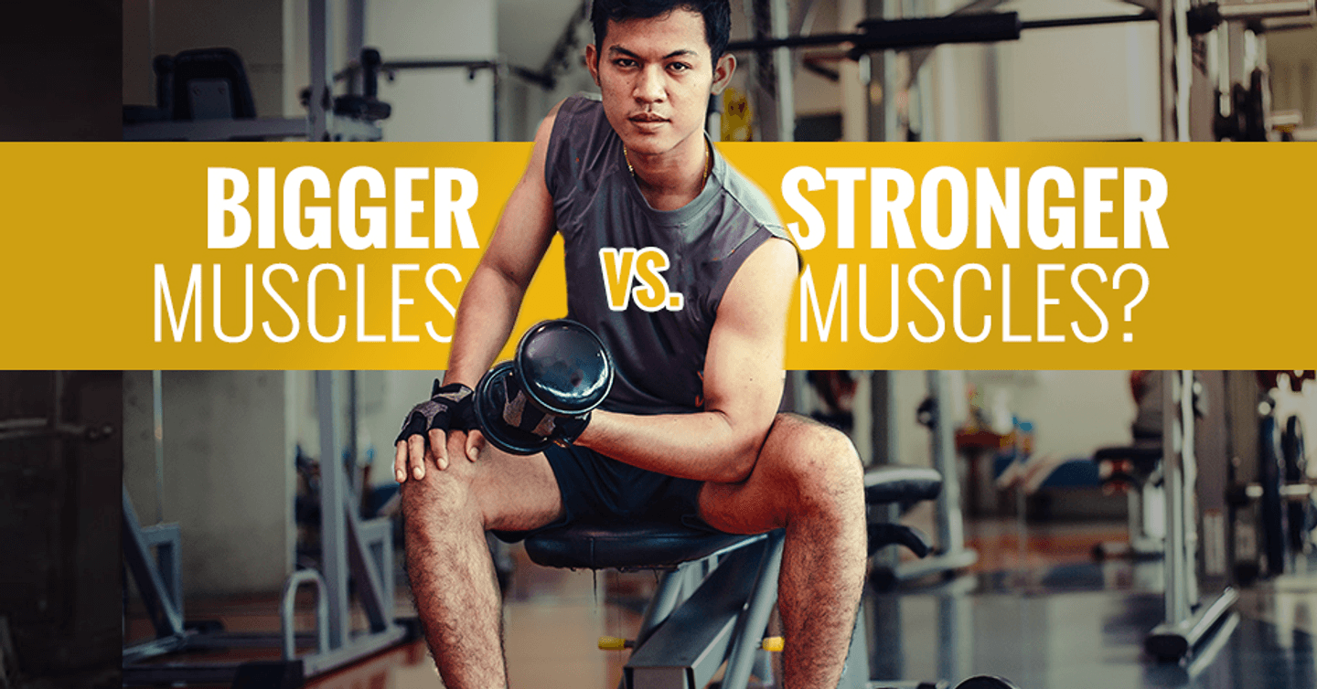 ISSA, International Sports Sciences Association, CPT, Strength, Bigger Muscles or Stronger Muscles?