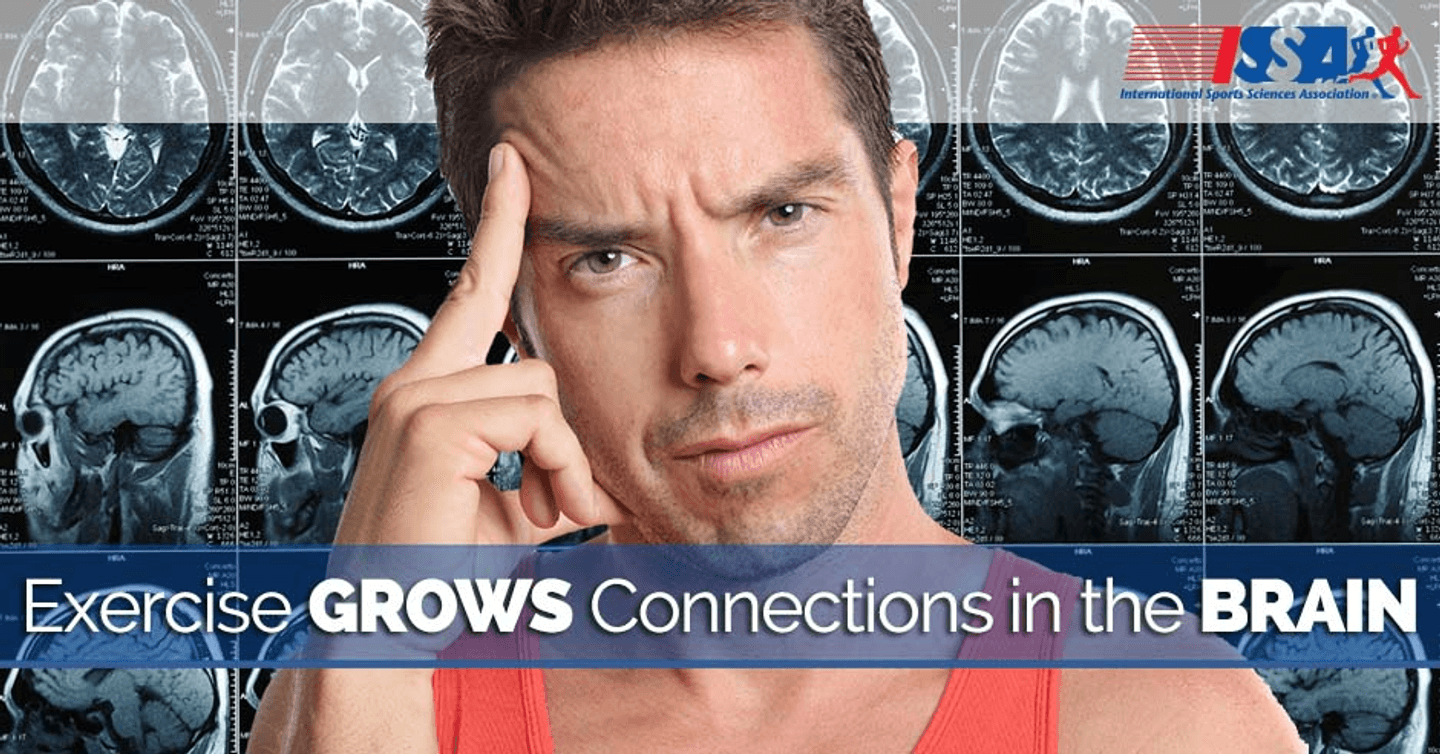 ISSA, International Sports Sciences Association, Certified Personal Trainer, ISSAonline, Exercise and Growing Connections in the Brain